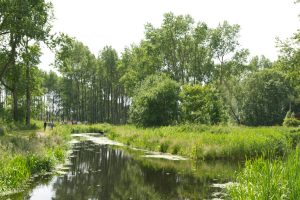 Ghoybos-lente-groengebied