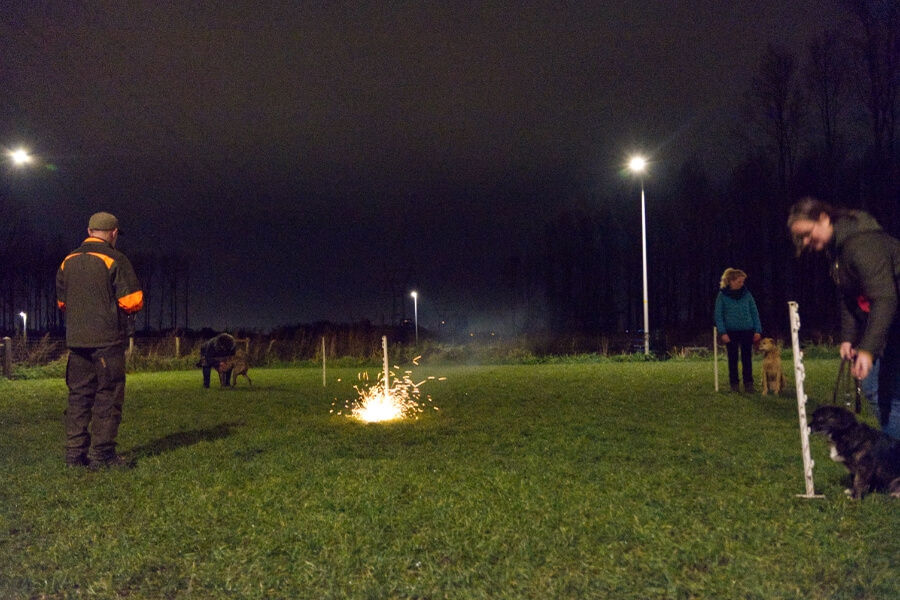 hond-vuurwerk-harde-geluiden