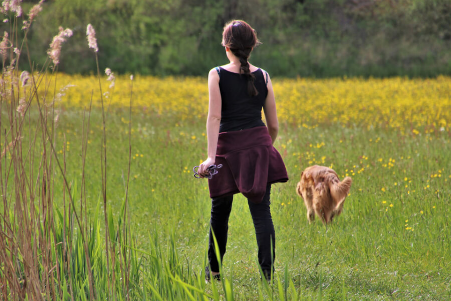 lente-wandelen-hond-ochtend-avond