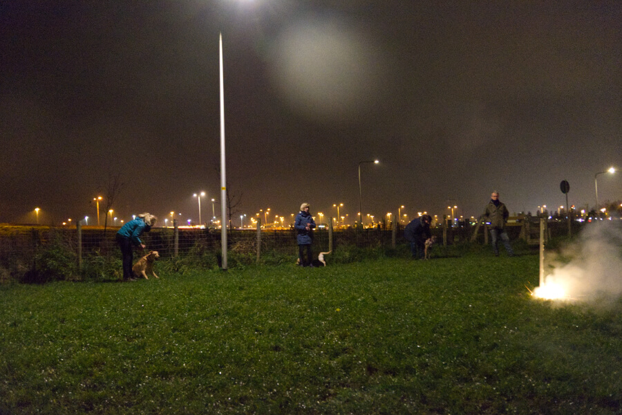 angstige-hond-trainen-vuurwerk