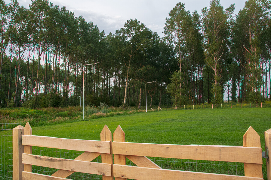 hondentrainingsterrein-doderer-grasveld
