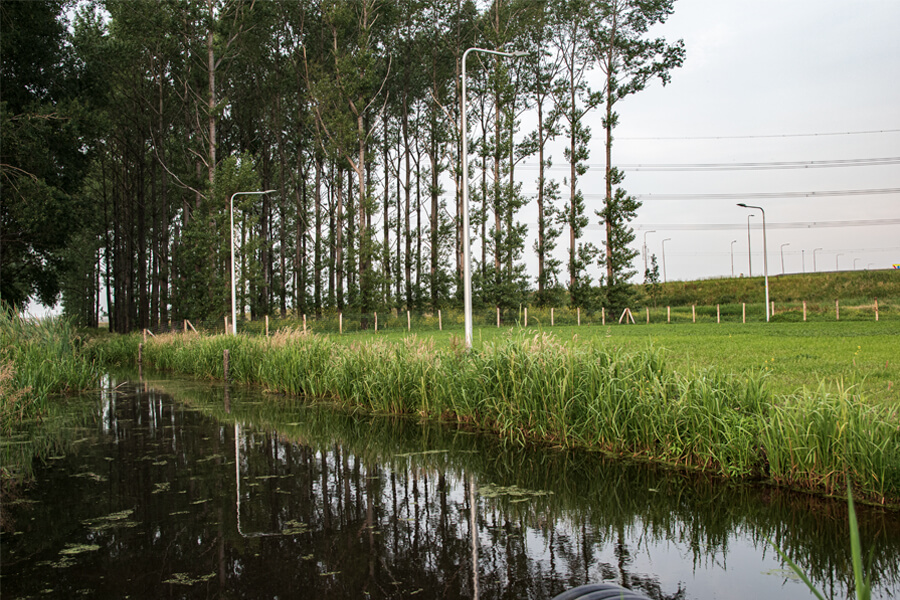 water-hondenplas