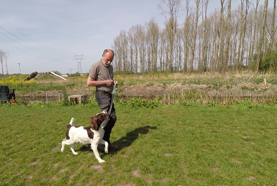 oefening-hond-lopen-lijn