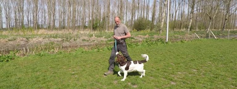 hond-lopen-lijn-thuisoefening