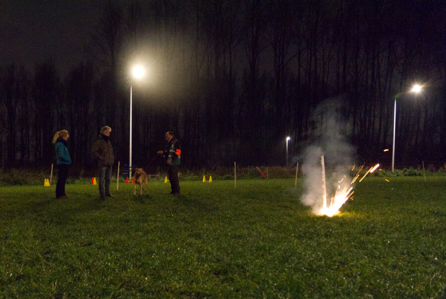 vuurwerk-hond-privetraining