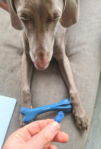 kauwspeelgoed-hond-blijf-erbij