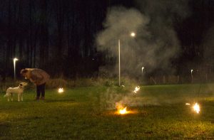 vuurwerk-hond-trainen