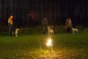 sterretje-kindervuurwerk-hond