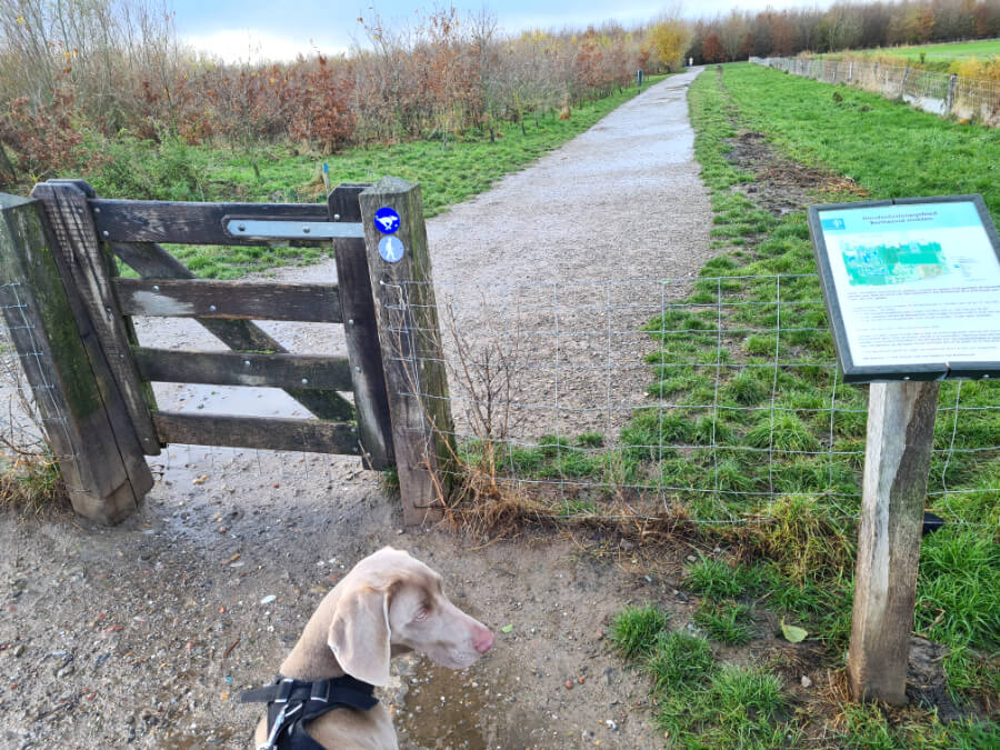 Omheind losloopgebied voor de hond: Bentwoud | Doderer Hondenschool