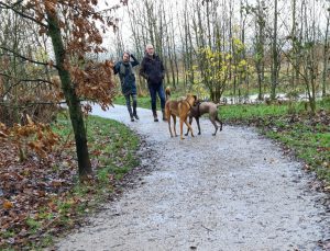 hondeneigenaren-losloopgebied-bentwoud