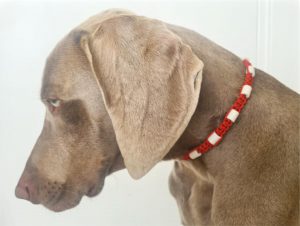 keramische-tekenband-hond