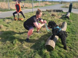 honden-bootcamp-proefles