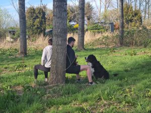 sporten-met-hond