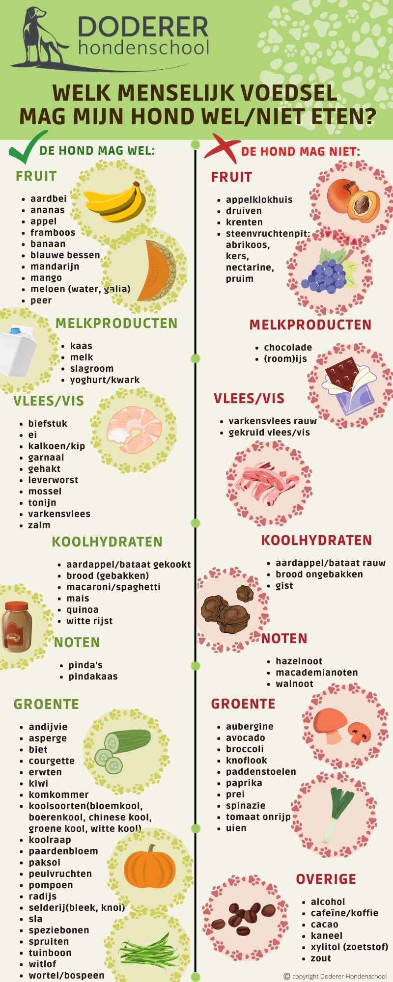 infographic-etenhondgeven