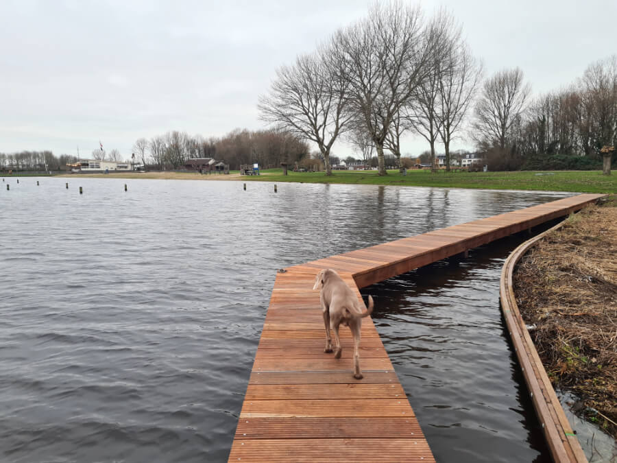 honden-losloopgebied-warmond