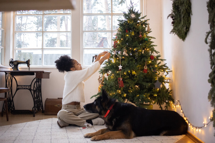 kerstboom-versieren-hond