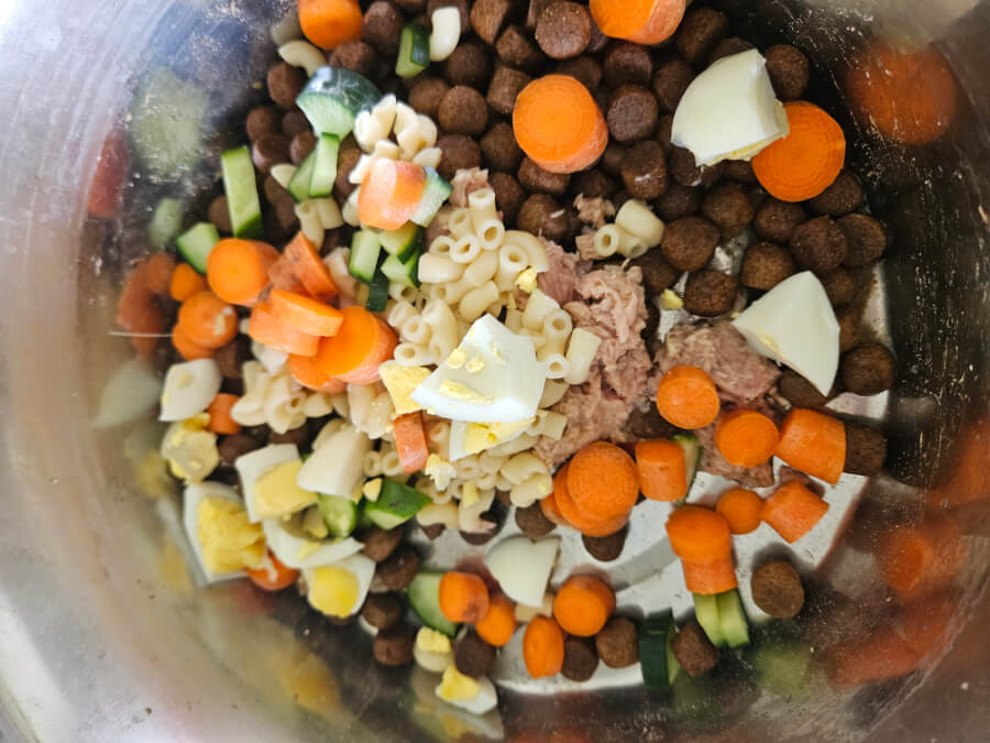 voedingsmiddelen-maaltijd-hond-ei-wortel-komkommer-macaroni