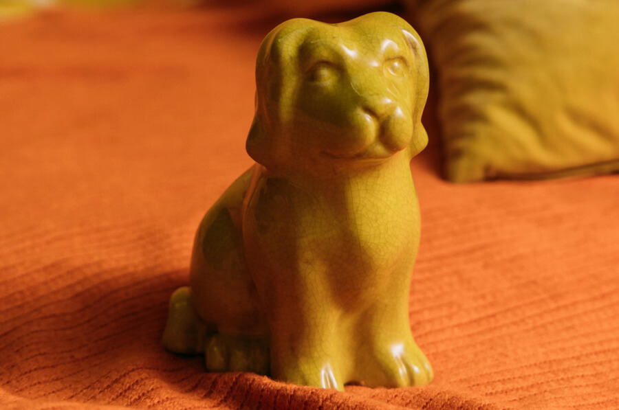 hond-festiviteiten-thuis
