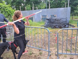 speerwerpen-sportief-hond
