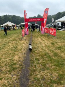 finish-hondenheldenhike
