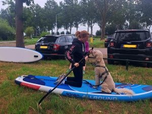 sup-oefenen-hond