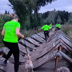 dogsurvival-hellendoorn
