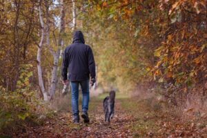 najaar-hond-wandeling-kastanjes-eikels