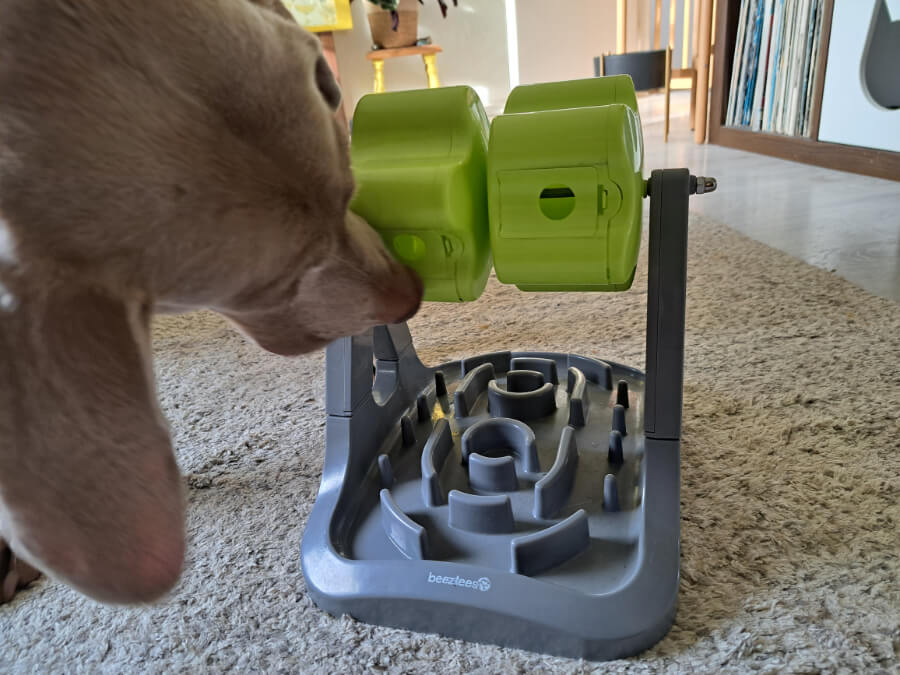 hondenpuzzel-reuzenrad