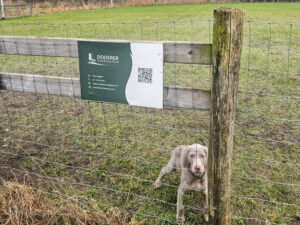 trainingsveld-dodererhondenschool