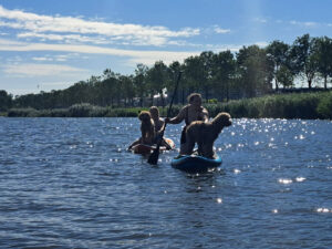 sup-met-hond