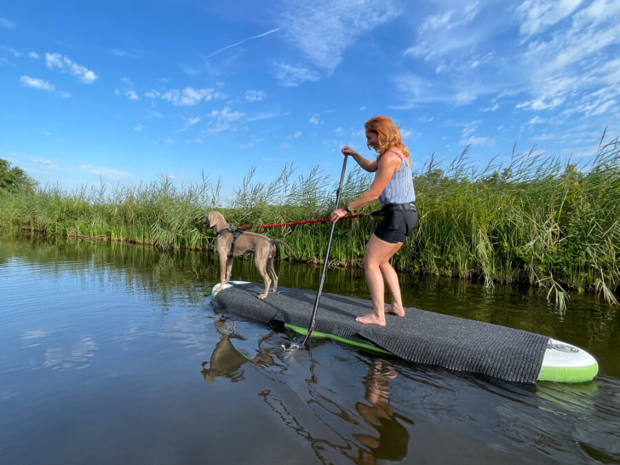 sup-huren-hond