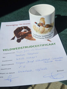 veldwerk-staandehonden